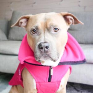 BullyBillows pasji plašč z zadrgo – vodoodporen, roza